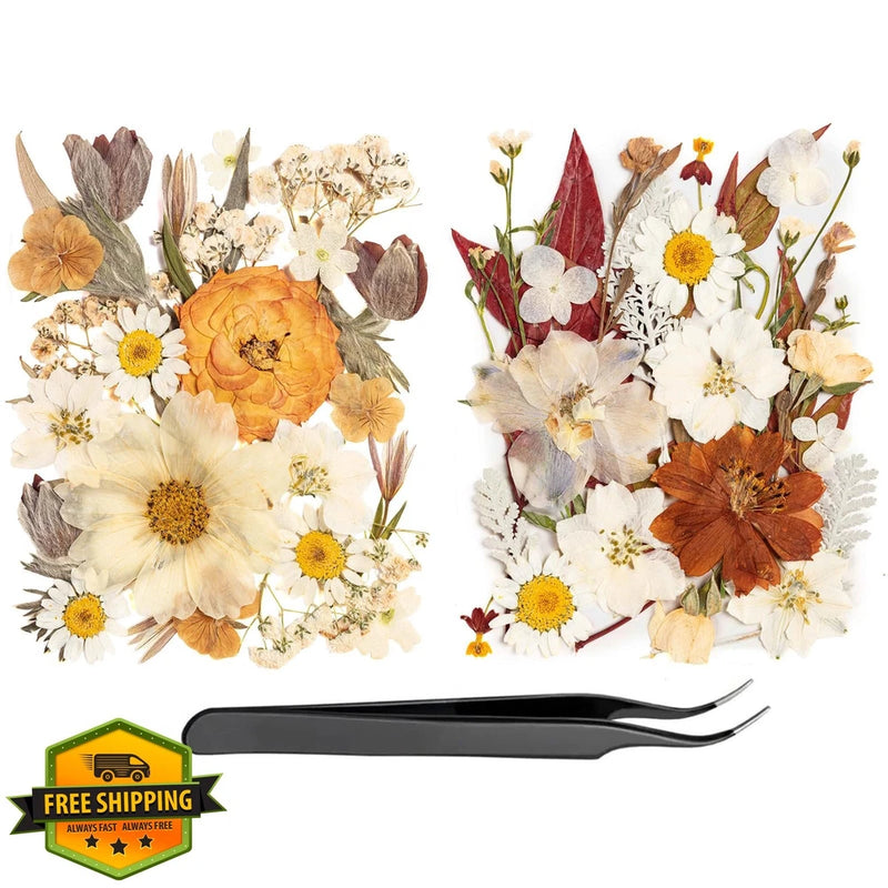 50pcs Boho Pressed Dried Flowers Bulk Leaves Dried Flower