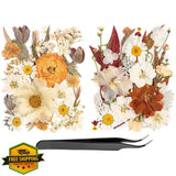 50pcs Boho Pressed Dried Flowers Bulk Leaves Dried Flower