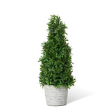 Mountain Savory Cone Topiary Artificial Plant Decorative Medium Green Green Plant