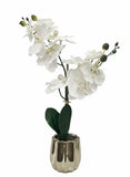 Artificial White Orchid Flower Arrangement in Gold Pot Green Plant