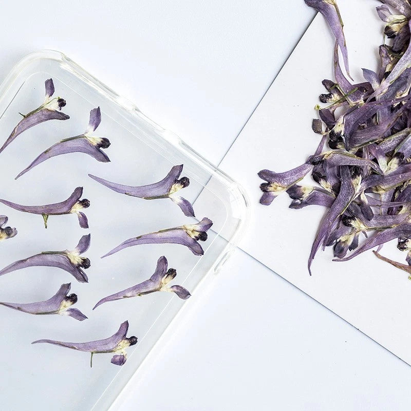 12-piece pressed dried mini purple flowers in clear plastic container