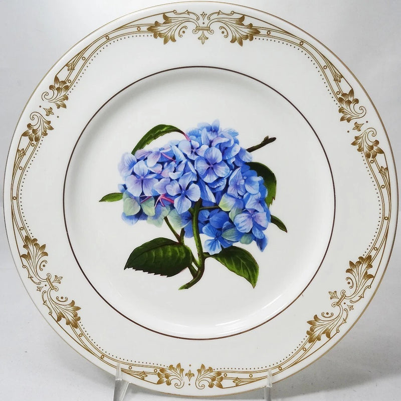 CHELSEA GOLD HYDRANGEA by Aynsley Salad Plate 8.25" NEW NEVER USED made England Hydrangea