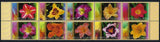 2003 Norfolk Island SG# 828/37 Day Lilies block of 10 B Mint MUH MNH flowers Lily