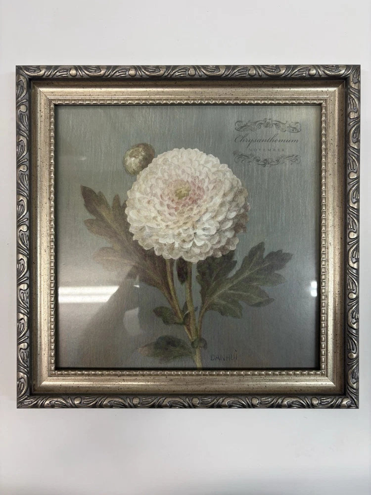 Framed vintage botanical chrysanthemum art with white dried flower and green leaves
