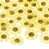 12-Pack Dried Pressed Flowers for Resin, Real Pressed Bulk Dry Floral [Yellow] Dried Flower
