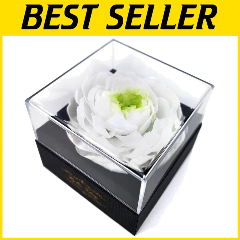 Unique Preserved Peony for Special Occasions Peony