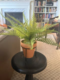 Hearth & Hand Large Artificial Green Fern in Terracotta Pot Green Plant