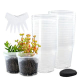 30 Packs Plastic Clear Pots for Plants, 5 Inch Transparent Plant Pot 4 inch Garden Plants