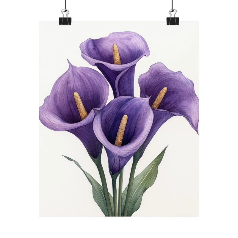 Purple calla lily flower art print poster with green stems and three blossoms