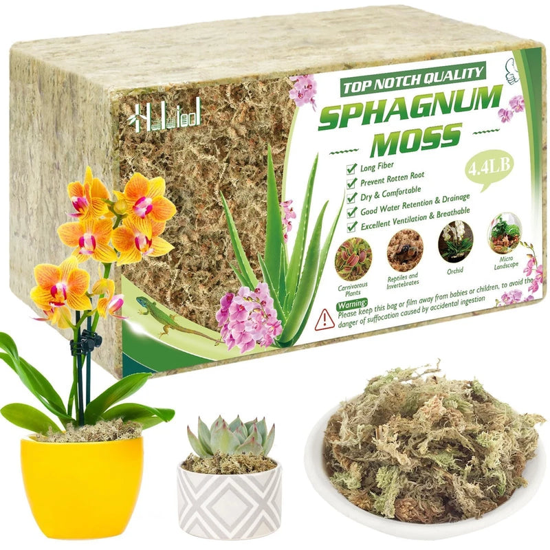 Natural sphagnum moss bundle and loose moss in bowl, for orchids and plants.