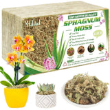 Halatool 4.4LBS Natural Sphagnum Moss for 85 qt (4.4 lbs), yellow and green Orchids