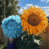 50pcs Blue and Yellow Enchanting Giant Teddy Bear Sunflower Seeds Sunflower