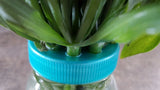 Mason Jar Flower Frog/Arrangement, Color & Package Choices - Plastic Lid Roses