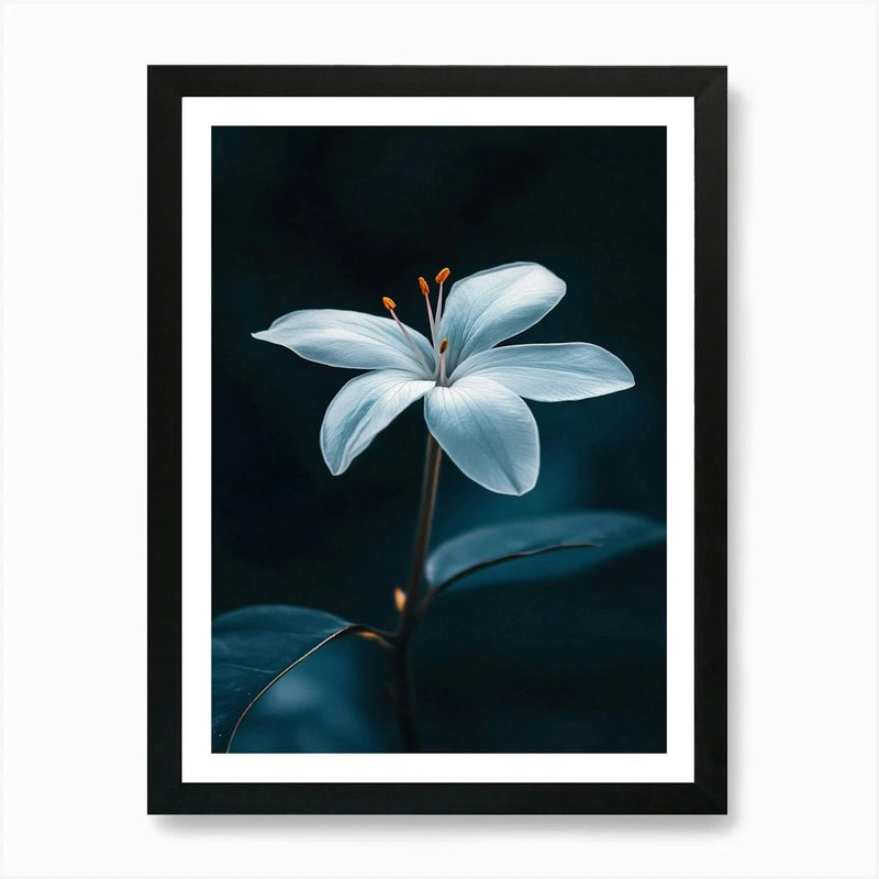 Framed lily flower wall art print with blue petals on dark background