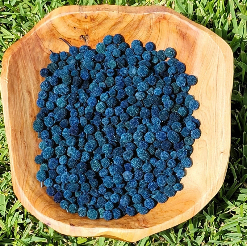 Blue dried berries in a wooden bowl for potpourri