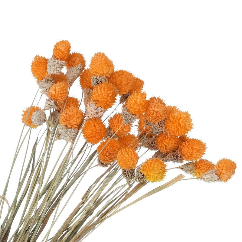 30 Pcs 16 Inch Dried Flowers for Vase Mini Pine Ball Flowers Orange Dried Flower