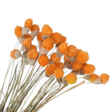 30 Pcs 16 Inch Dried Flowers for Vase Mini Pine Ball Flowers Orange Dried Flower