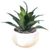 Realistic Artificial Succulent in Pot for Living Room Office Desk Shelf Use Green Plant