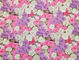 Fabric Traditions - Garden Party Petunias Quilting And Crafting Fabric Flowering Plants