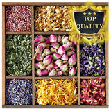 Tea Making with Flowers & Petals Best Price - 10g - 50g, Dried Flowers, Dried Daisies