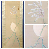 [Pampas Grass Under the Moon] Yokouchi Shorai Moon Viewing Hanging Scroll f647 Pampas Grass