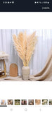SREED 40-Inch Cream Pampas Grass Decor 10-Pcs Natural Boho Wedding Plants Flower Pampas Grass