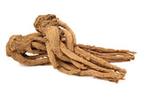 50 FEMALE GINSENG Dong Quai Chinese Angelica Sinensis Herb White Flower Seeds Flowering Plants