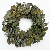 Pemberly Row 12" Preserved Decorative Real Eucalyptus Wreath in Green Green Plant