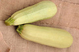 25+ Cousa Squash Seeds for Garden Planting - USA - FREE SHIPPING! Garden Plants