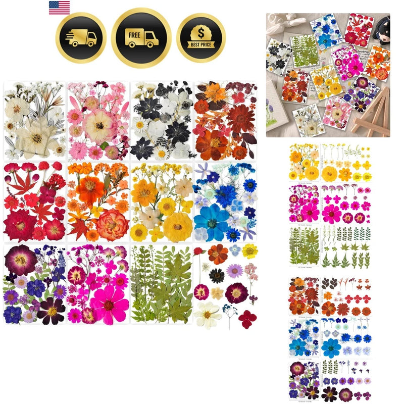 320PCS Dried Pressed Flowers Bulk for Resin, Real Natural Pressing Flowers wi... Dried Flower