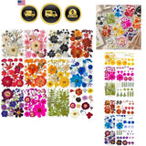 320PCS Dried Pressed Flowers Bulk for Resin, Real Natural Pressing Flowers wi... Dried Flower