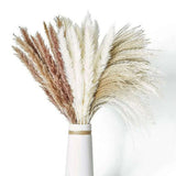 100 Pcs Pampas Grass Natural Dried Reed Flower Bunch Home Wedding Decor Bouquets Dried Flower