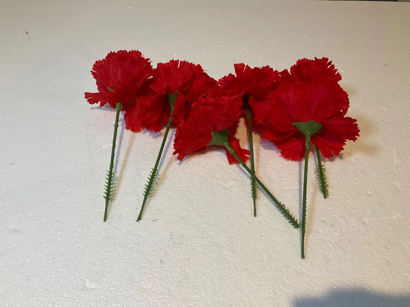 Red carnation flowers on single green stems, loose bunch