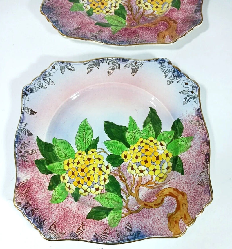 Royal WInton Grimwades Square Salad Dessert Plates Art Deco Hydrangea Floral Hydrangea