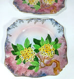 Royal WInton Grimwades Square Salad Dessert Plates Art Deco Hydrangea Floral Hydrangea