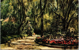Winter Haven Florida Hydrangeas Flowers Spanish Moss Chrome Cancel WOB Postcard Hydrangea