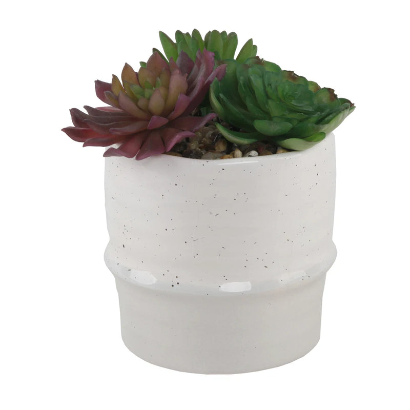 Flora Bunda Artificial Plants in Two-Tone Ceramic Planter,Cream/Beige 2 Colors Green Plant