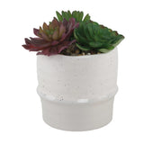 Flora Bunda Artificial Plants in Two-Tone Ceramic Planter,Cream/Beige 2 Colors Green Plant