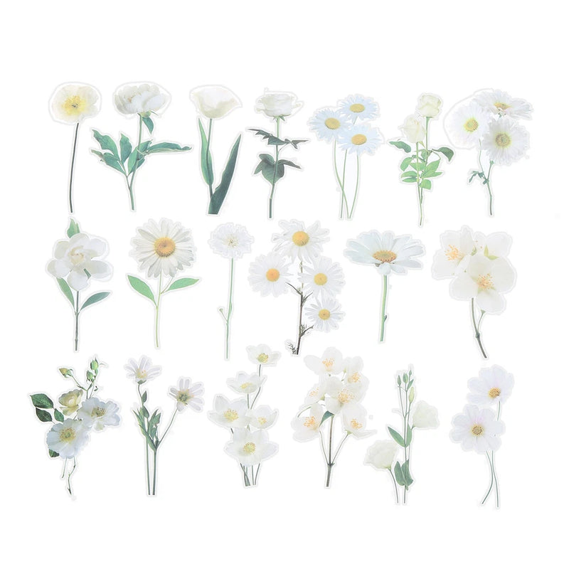 80 Sheet Clear White Daisies Flower PET Sticker, Waterproof Flower Decal, White Daisies