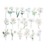 80 Sheet Clear White Daisies Flower PET Sticker, Waterproof Flower Decal, White Daisies