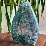 1.39LB Green aquatic plant droplet specimens Green Plant