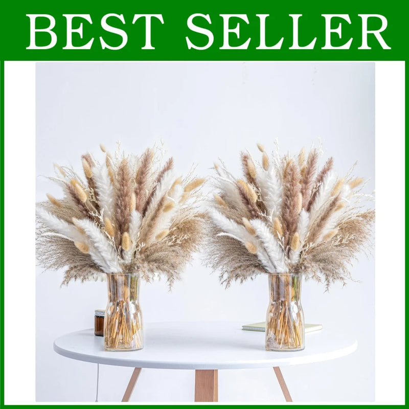 Eco-Friendly Phragmites Dried Flowers - 300PCS Pampas Grass