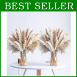 Eco-Friendly Phragmites Dried Flowers - 300PCS Pampas Grass