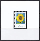Color Print, Germany Sc2319 Flower, Sunflower Sunflower