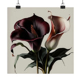 Maroon Calla Lilies Flower Art Print, Flower Painting, Flower DŽcor 02 Lily