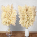 16 Stems, 40" Tall Natural Pampas Grass Decor, Dried Flowers Bouquet Boho Decor Pampas Grass