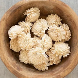 Natural Dried Zinnia Flowers - Bag of 16 (2.5"D), White, Botanical, Vase Filler Dried Flower