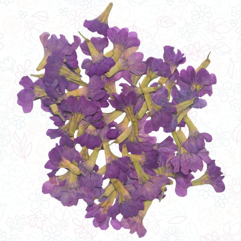 Purple pressed flowers with yellow stems for resin art and crafts