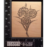 Parked on Rubber Stamps XL CLUSTER CARNATIONS GARDEN FLOWERS #1623 Carnation
