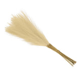 Faux Pampas Grass Fake Pampas Grass Decor, 21"/55cm / Beige / 15 Pcs Pampas Grass